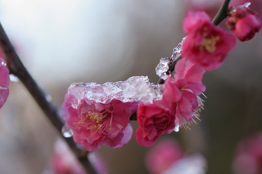 つめてえ～