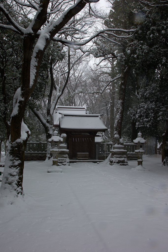 EF24-105mm F4 L