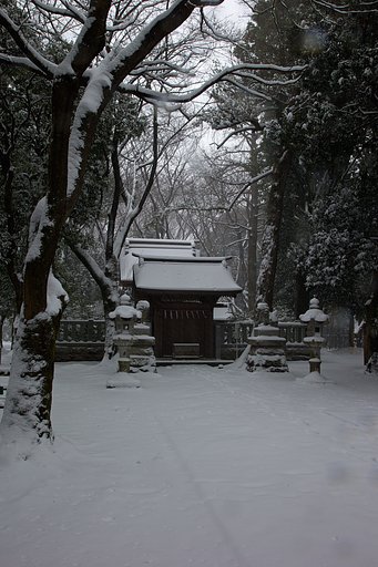 EF24-105mm F4 L