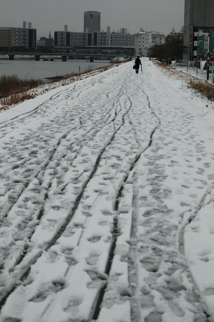 久々の大雪in広島