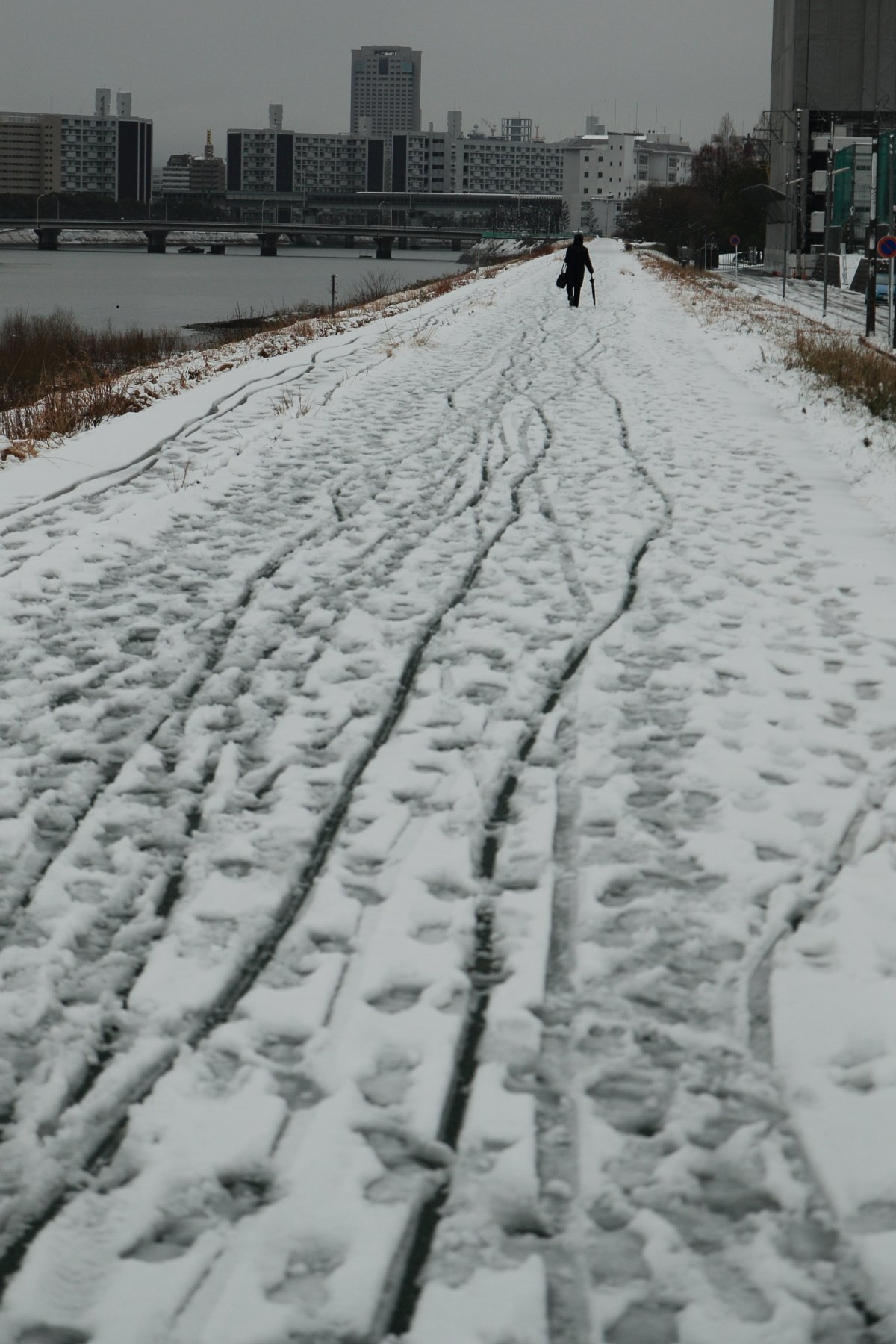 久々の大雪in広島