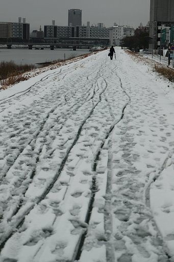 久々の大雪in広島