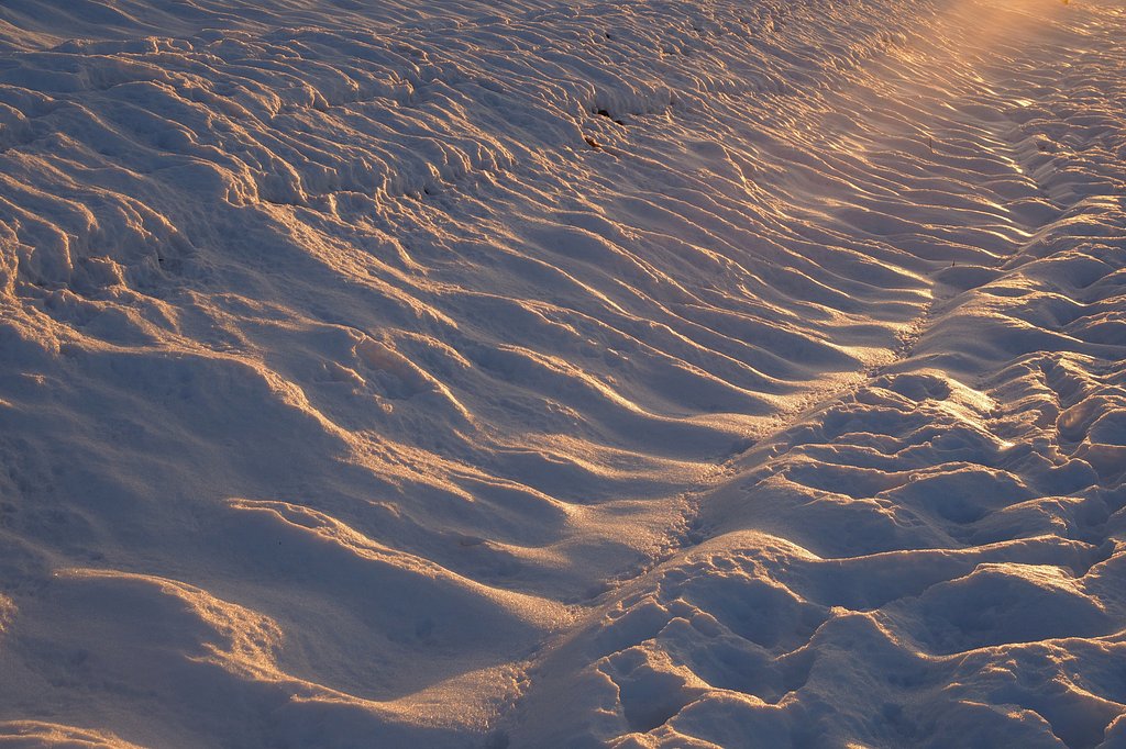 雪原の光