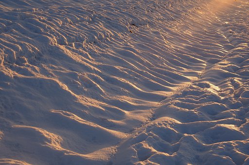 雪原の光