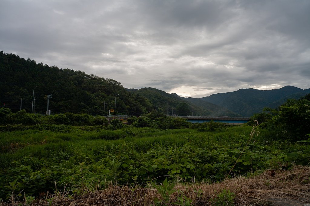 時々小雨も。