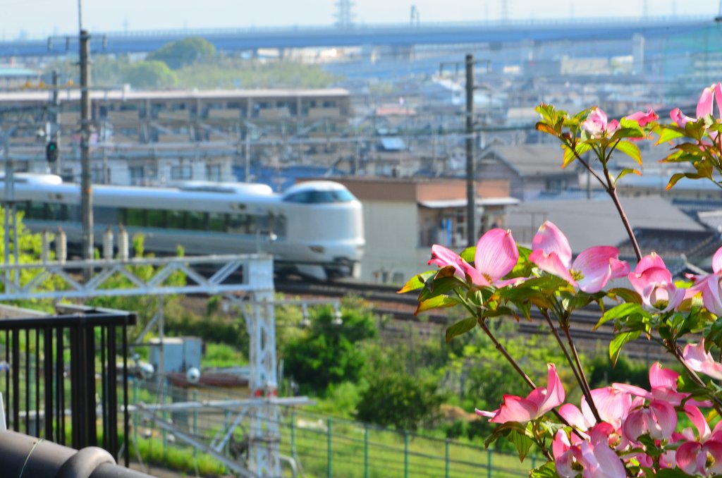 初参加です