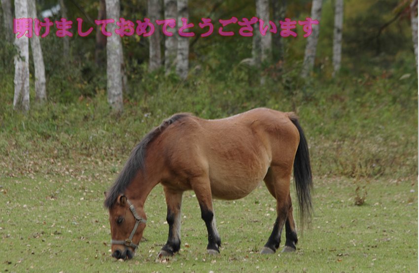 謹賀新年