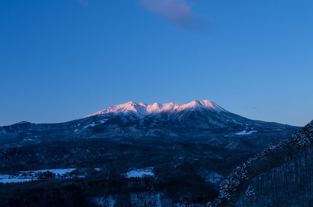 期待通りに・・