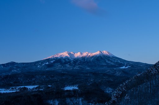 期待通りに・・
