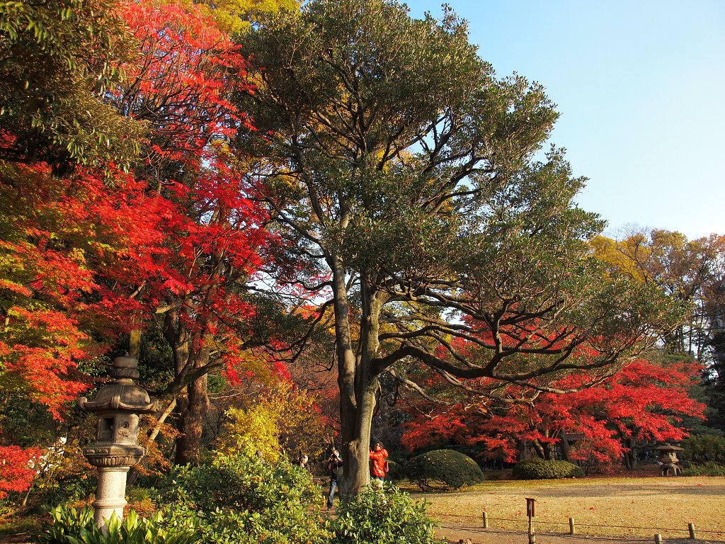 公園の秋色