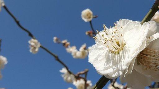 やっと