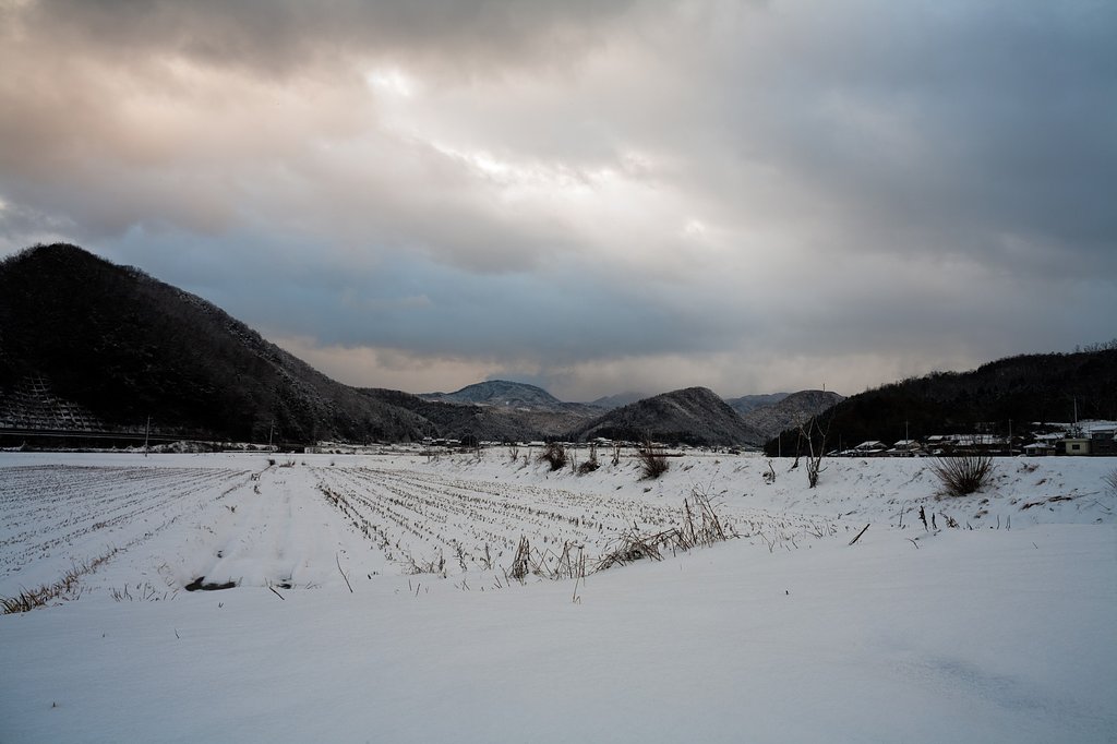 美しい雪景色に・・。
