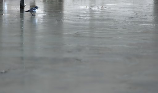 冷え込みの朝