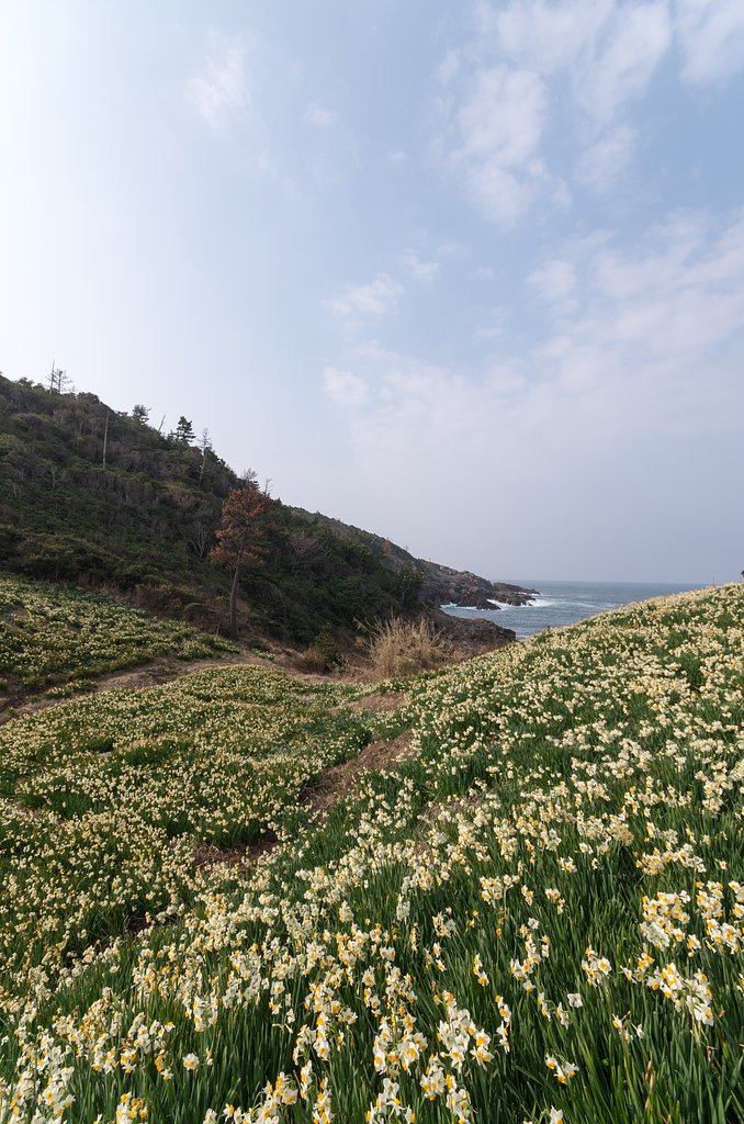 海風