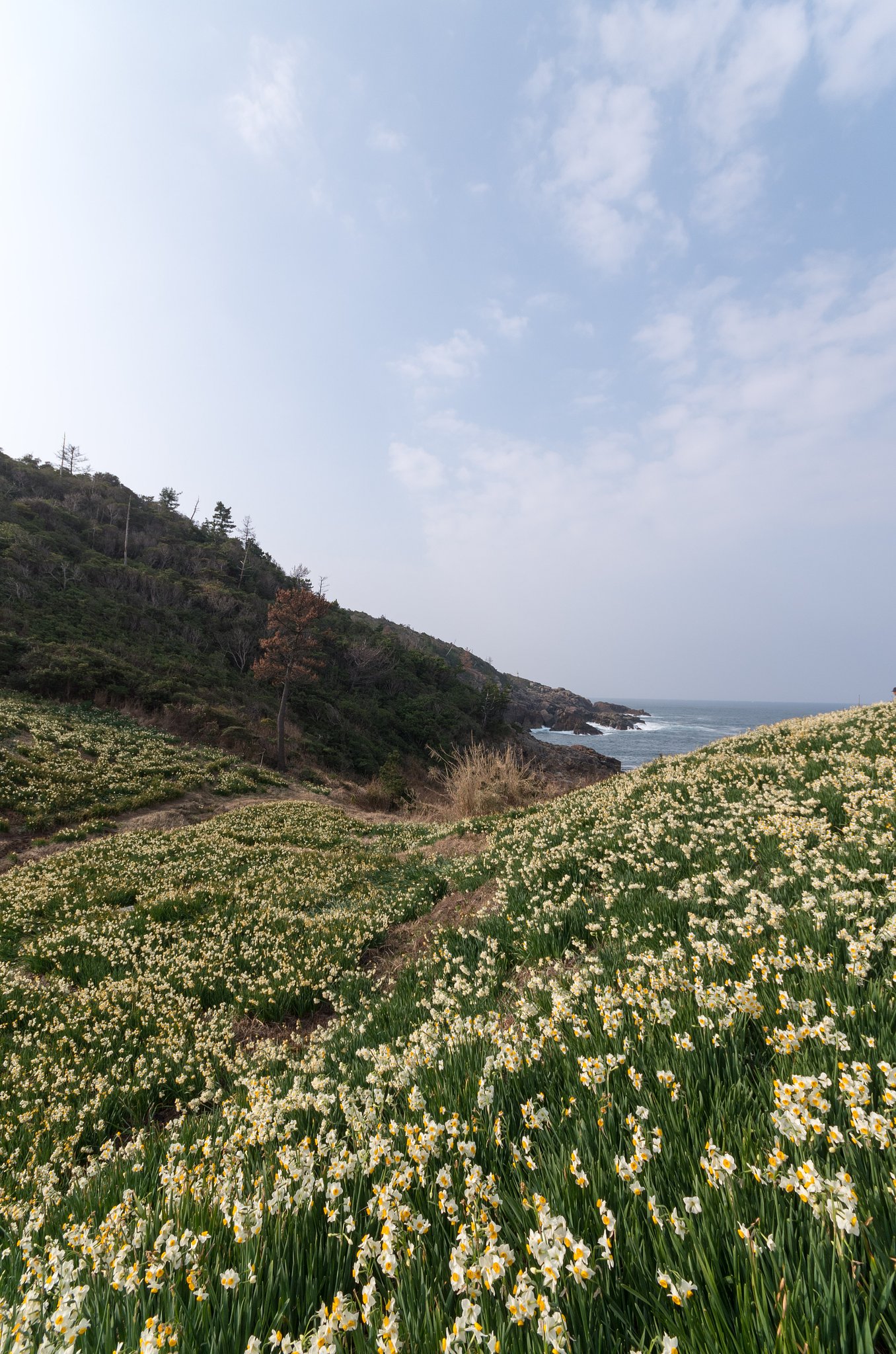 海風
