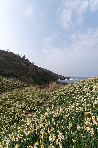 海風