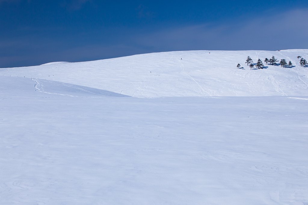 雪原