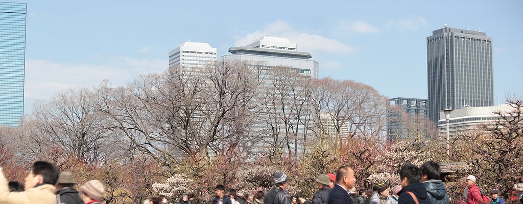 花見の賑わい
