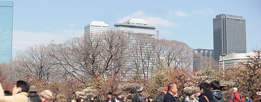 花見の賑わい