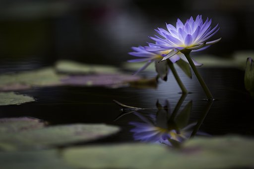 静寂