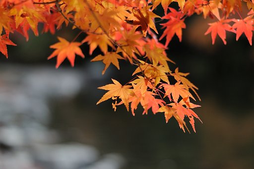 流れる雲間に日光が