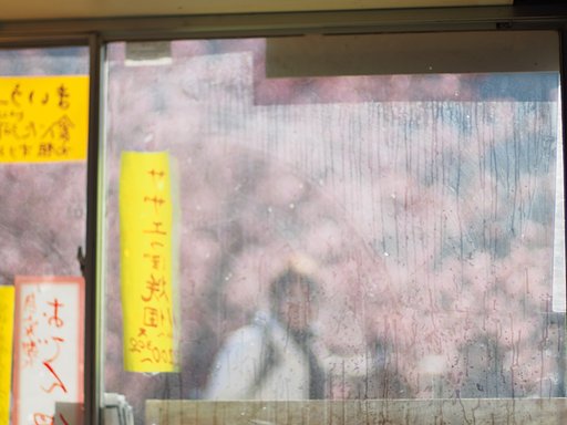 「桜うどん」をいただいて