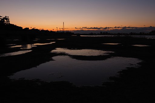 水たまり光る