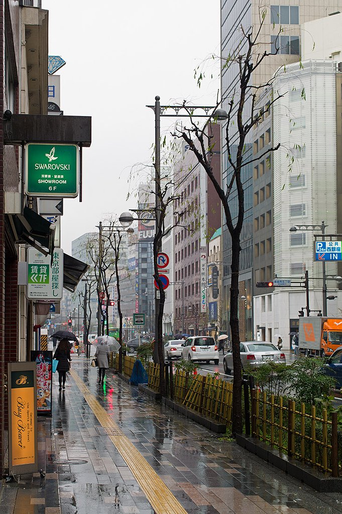 銀座の柳