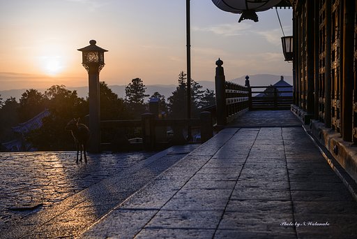 二月堂　夕景