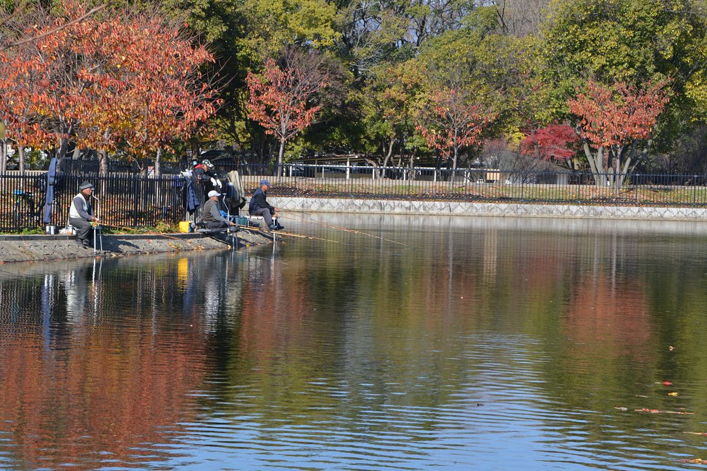 晩秋の緑地