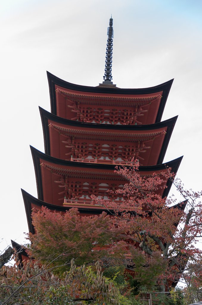 宮島４５