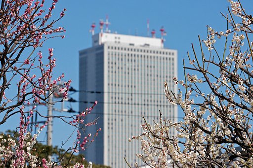梅＆サンシャイン