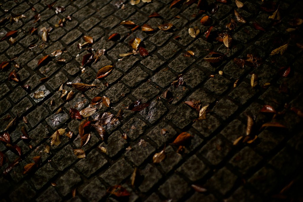 NOKTON 50mm F1.1