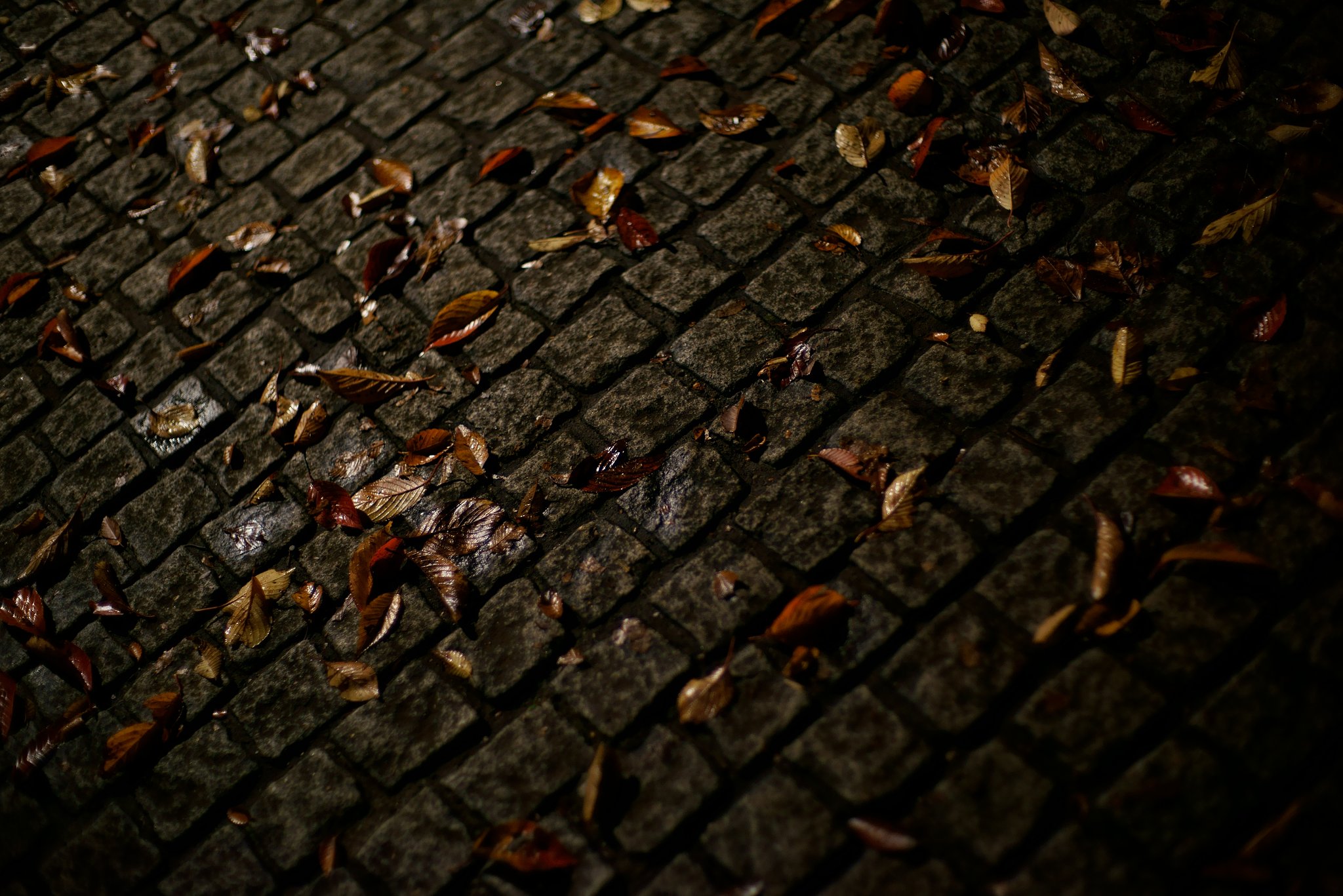 NOKTON 50mm F1.1