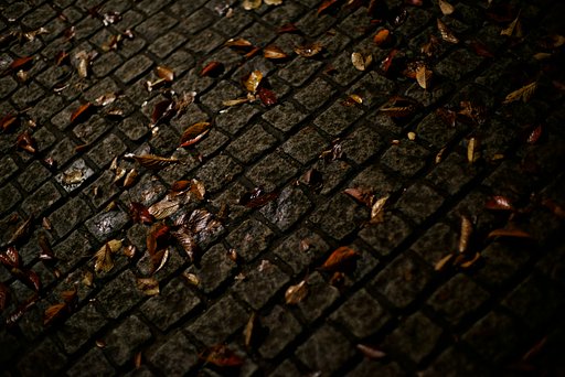 NOKTON 50mm F1.1