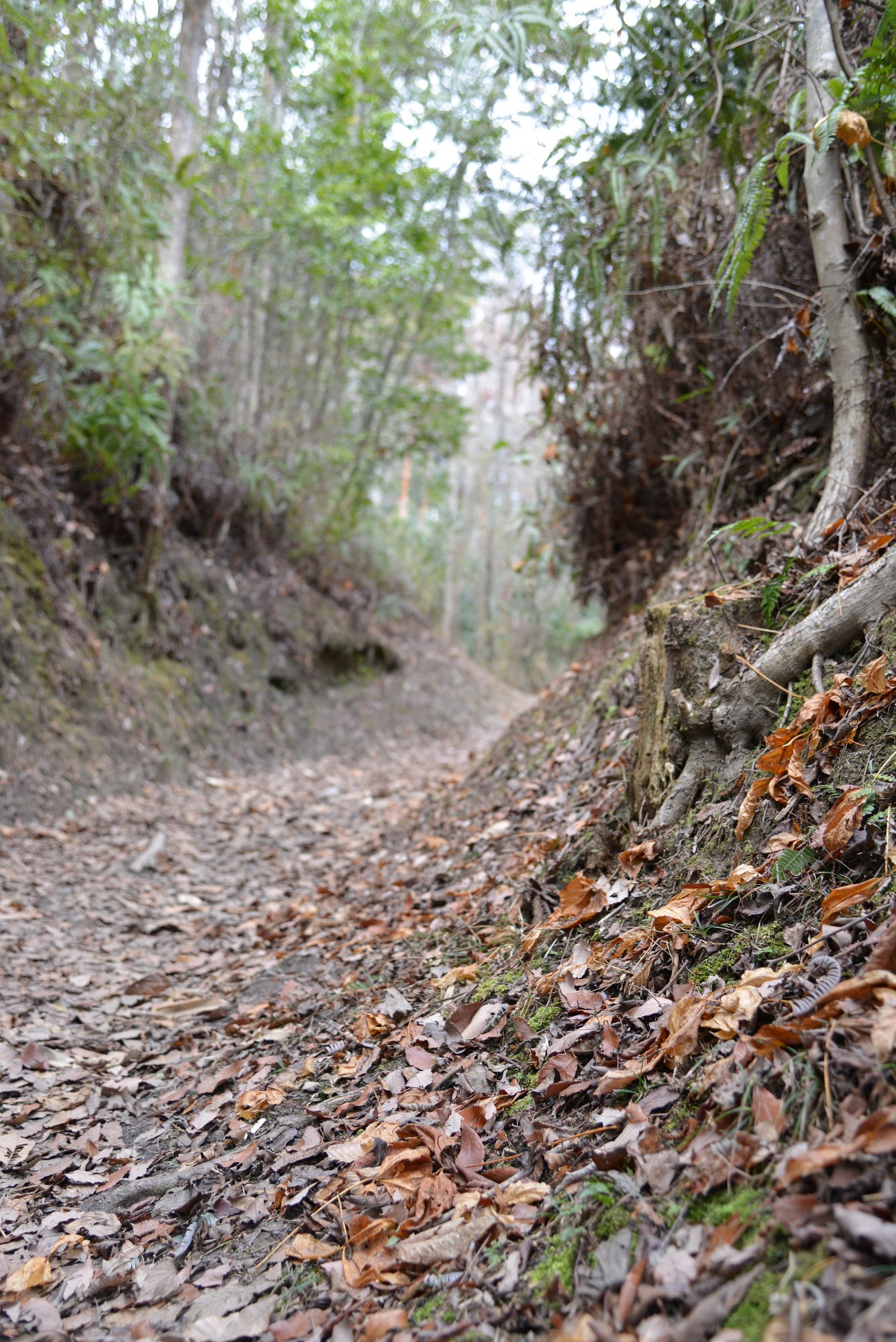 山路