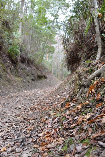 山路