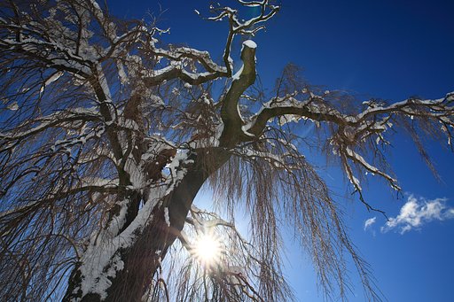 雪あがり
