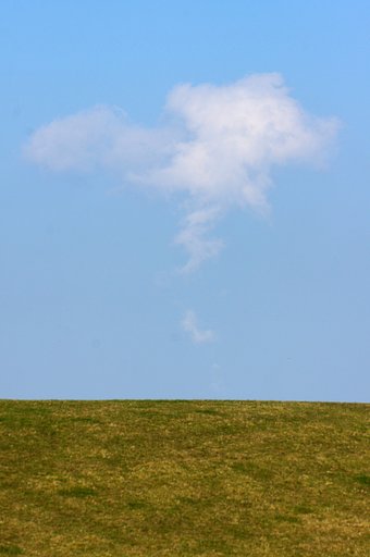 丘の上のほにょ？