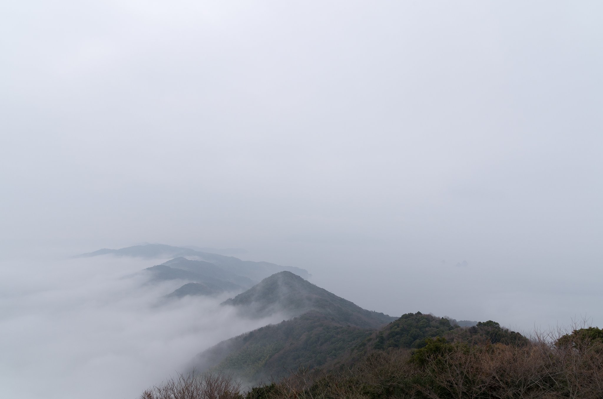 霧