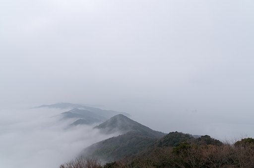 霧