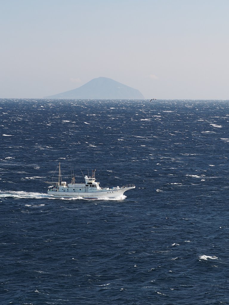 海を逆走