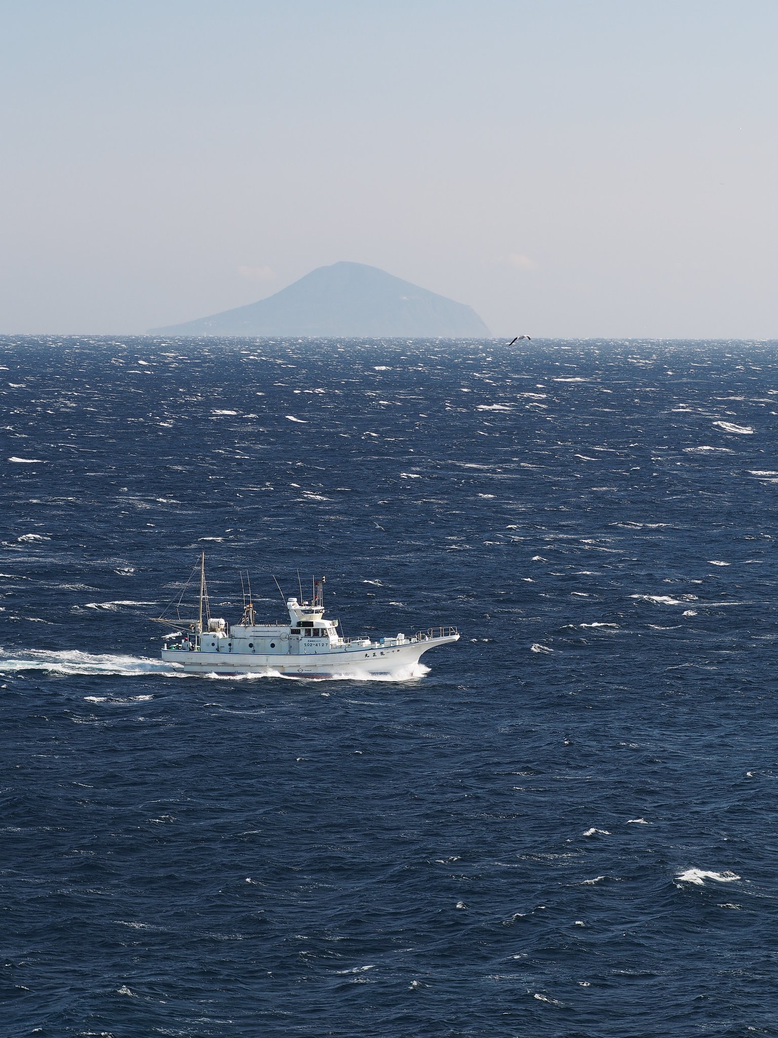 海を逆走