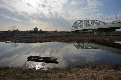 冬の多摩川