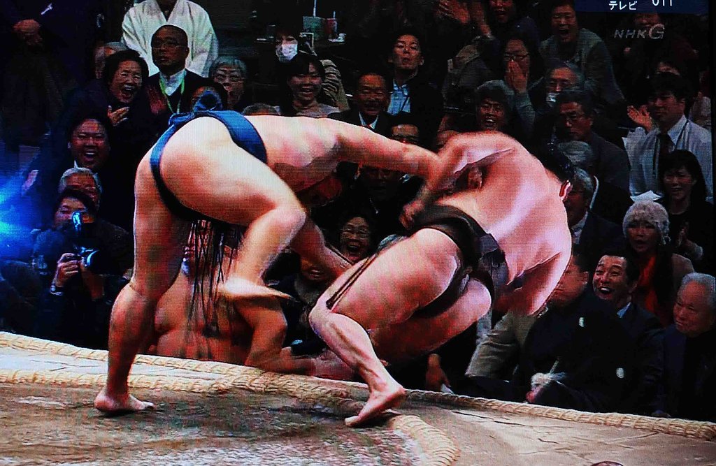 [スポーツ」欄ということで　お邪魔します　お許しを！
