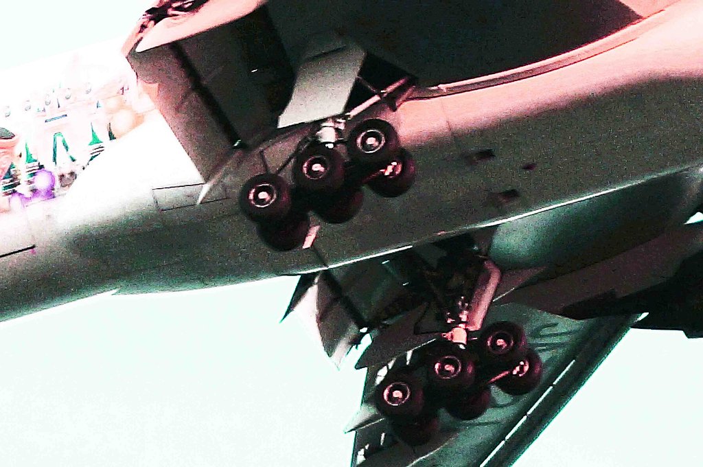   [Tire ]