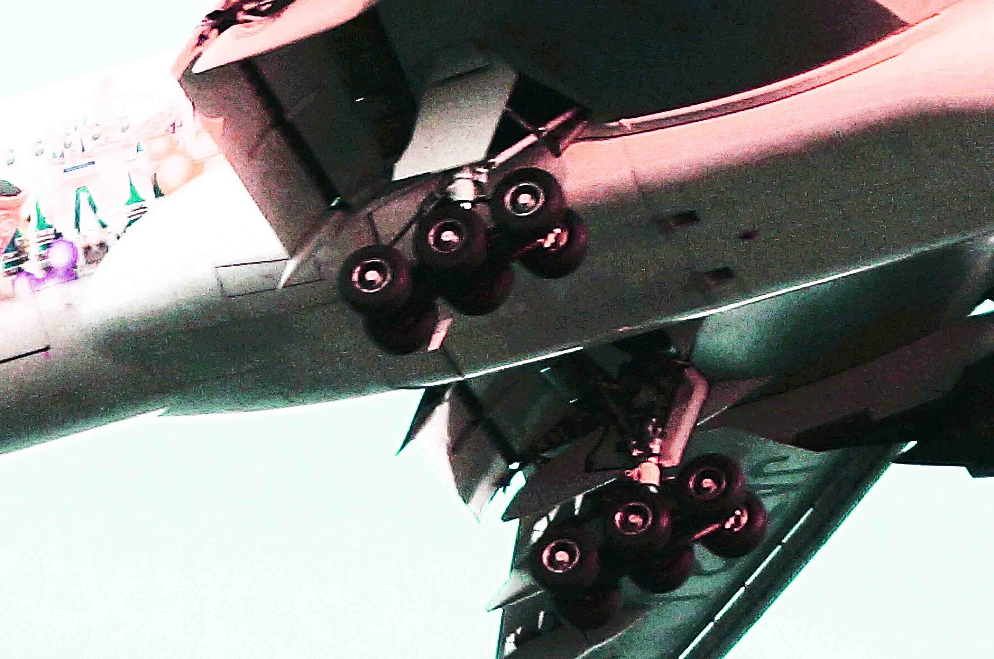   [Tire ]