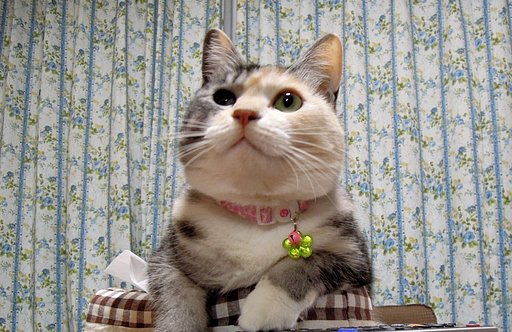 私の壁