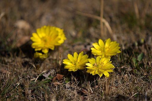 EF180mm F3.5 L Macro