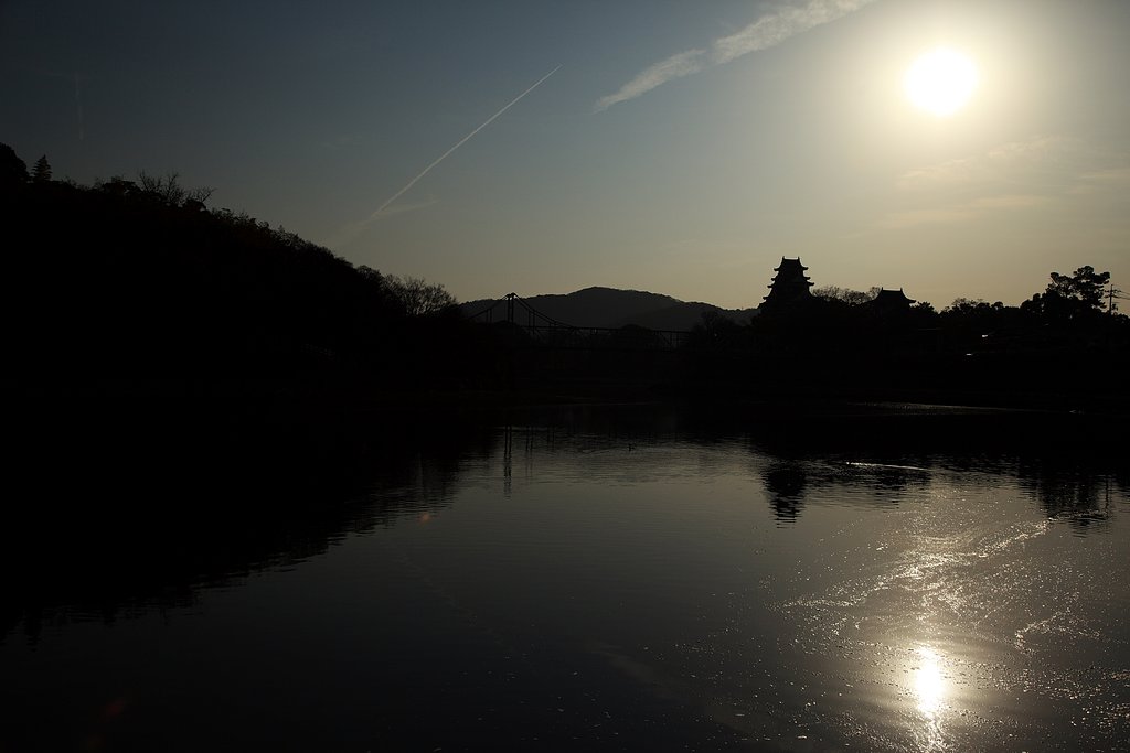 逆光の岡山城